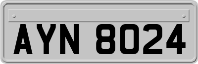 AYN8024