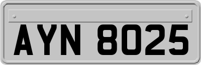AYN8025