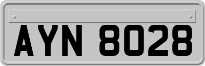 AYN8028