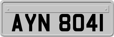 AYN8041