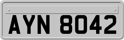 AYN8042