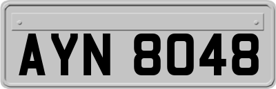 AYN8048