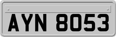 AYN8053