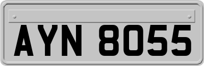 AYN8055