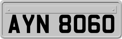 AYN8060