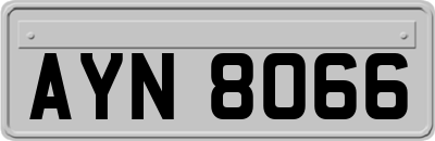 AYN8066