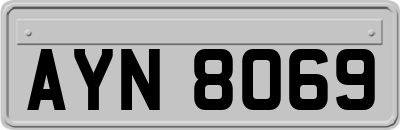AYN8069