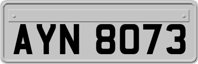 AYN8073
