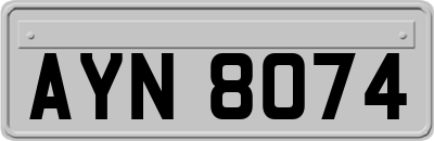 AYN8074