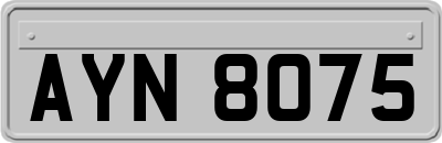 AYN8075