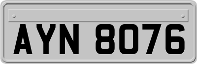 AYN8076