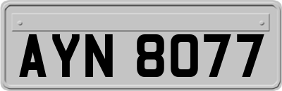 AYN8077