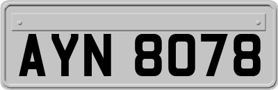 AYN8078