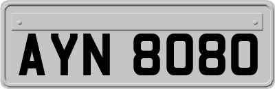 AYN8080