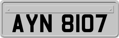 AYN8107
