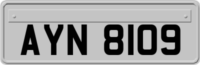 AYN8109