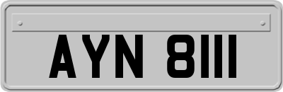AYN8111