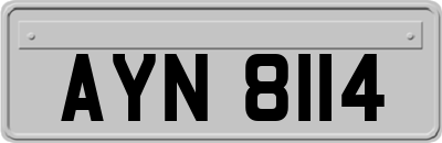 AYN8114