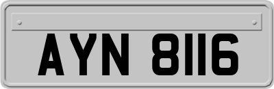 AYN8116