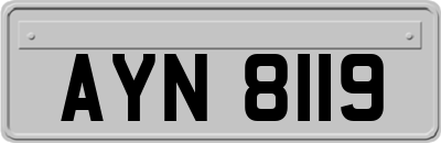 AYN8119