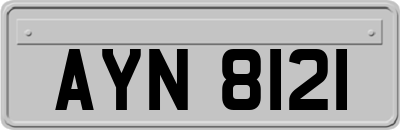 AYN8121