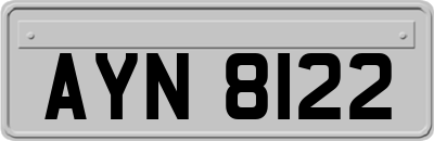 AYN8122