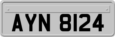 AYN8124