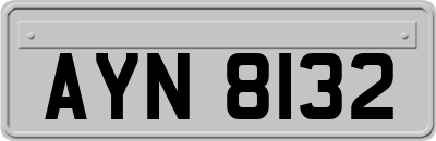 AYN8132
