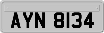 AYN8134