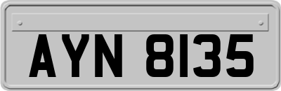 AYN8135