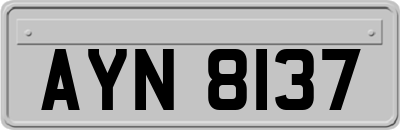AYN8137