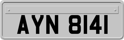 AYN8141