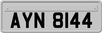 AYN8144