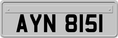 AYN8151