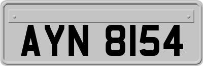 AYN8154