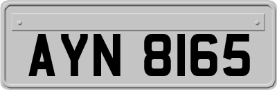 AYN8165