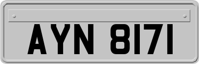 AYN8171