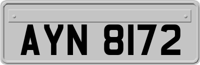 AYN8172