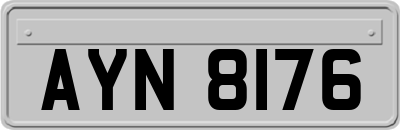 AYN8176