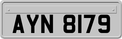 AYN8179