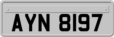 AYN8197