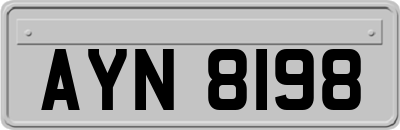 AYN8198