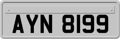 AYN8199