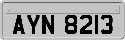 AYN8213