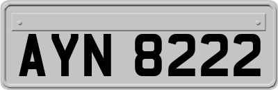 AYN8222