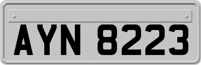 AYN8223