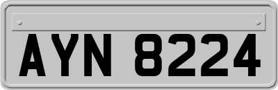 AYN8224