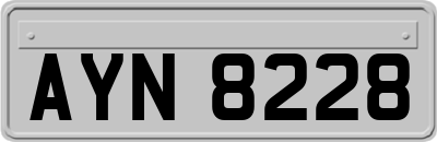 AYN8228