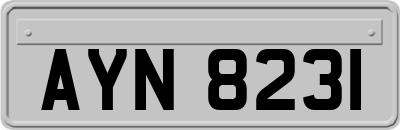 AYN8231