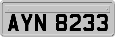 AYN8233